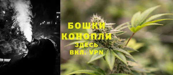 молекула духа Володарск