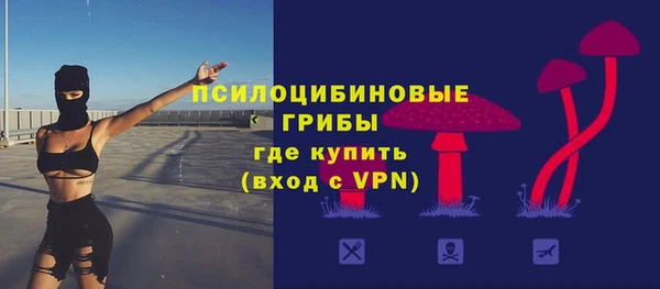 молекула духа Володарск