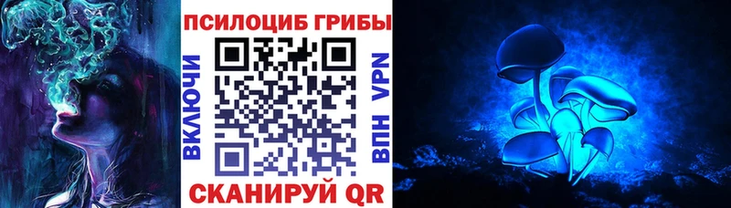 Псилоцибиновые грибы Psilocybe  Купить  Отрадная 